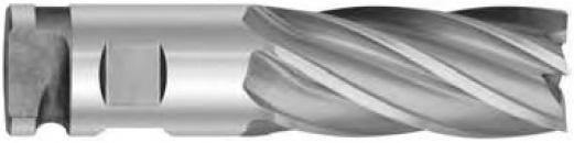 2-1/2" Dia. x 6" Cut Length Sure-Lock 4 or 6 Flute End Mill (2-1/2" Shank) - The End Mill Store 